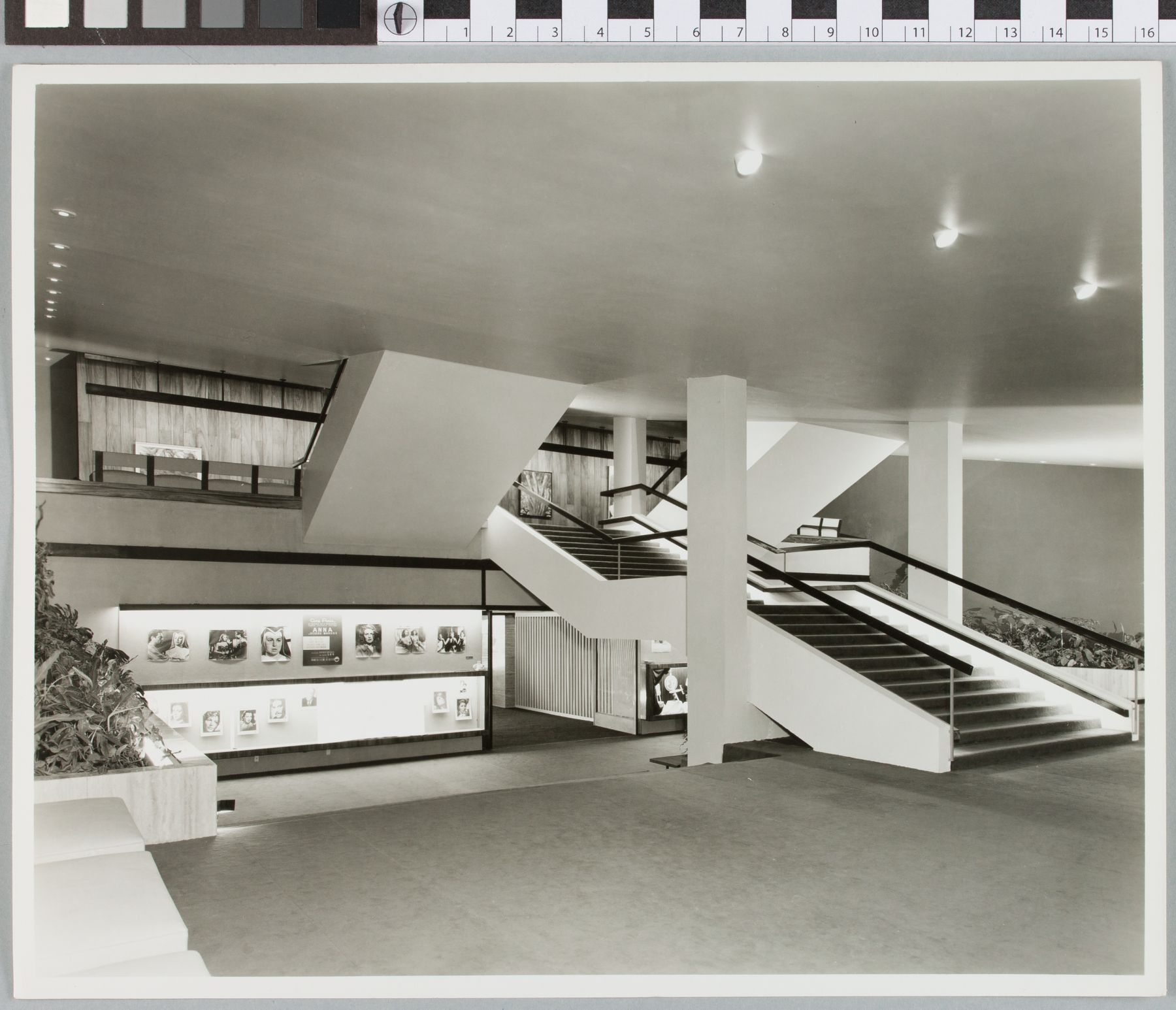 Archivo Histórico, Fundación Sordo Madaleno A.C